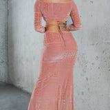Velvet Mesh Maxi Dress