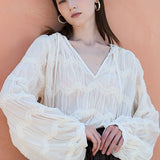 Zigzag Lace Crinkled Sheer V-neck Blouse